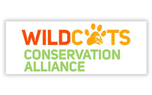 Wildcats Conservation Alliance