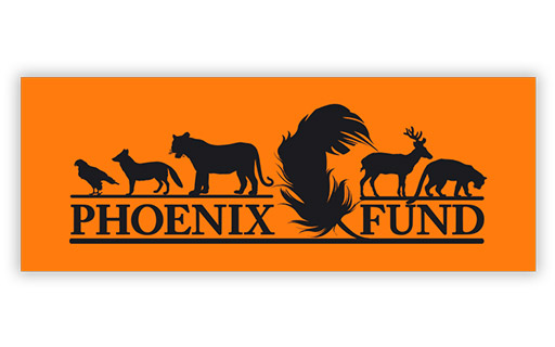 Phoenix Fund